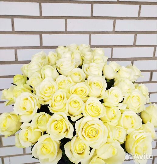 Цветы розы букет