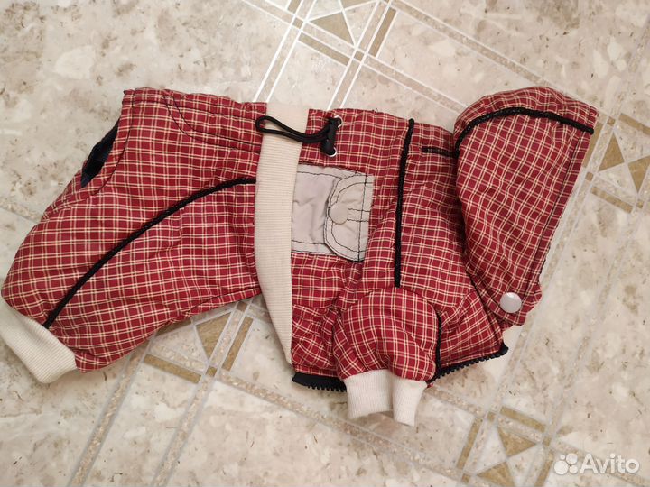 Одежда для собак мелких пород