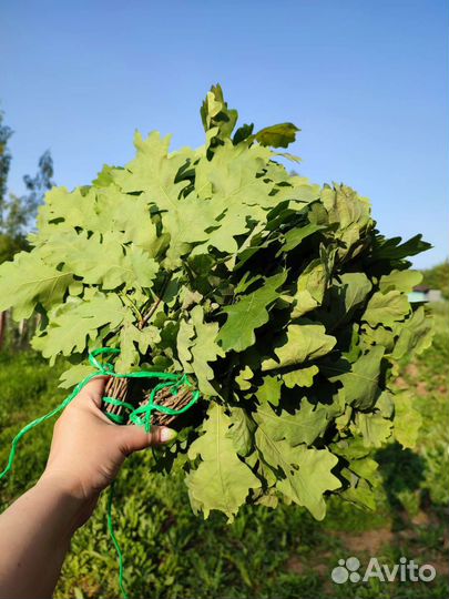 Веники банные