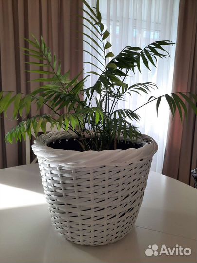 Кашпо для цветов