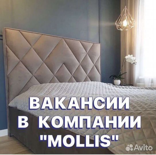 Продавец консультант мягкой мебели