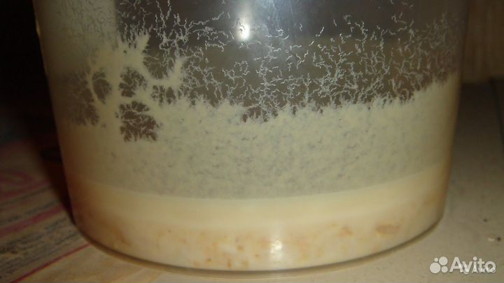 Живой корм для аквариумных рыбок