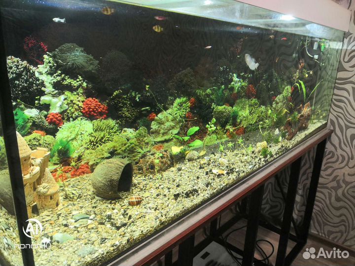 Аквариум на 400 литров