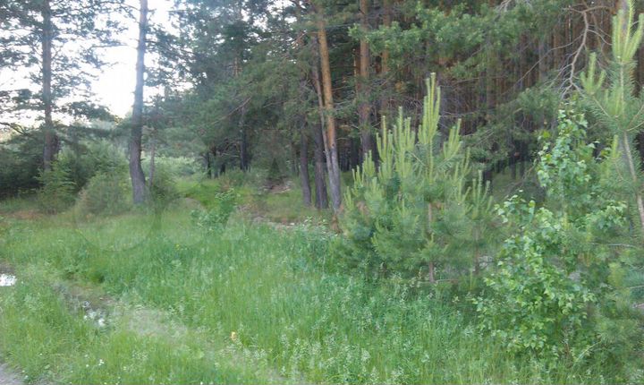 Участок 19,5 сот. (ИЖС)