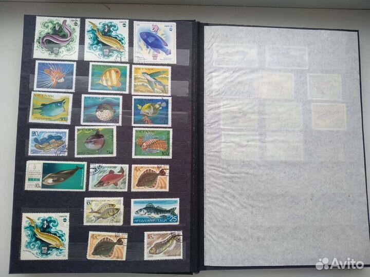 Альбом для марок