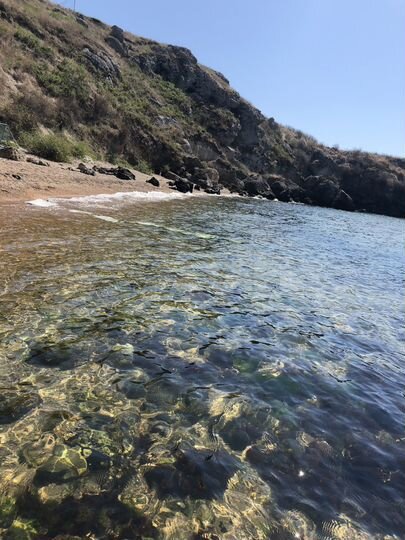 Участок 6 сот. (СНТ, ДНП)