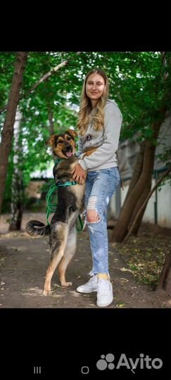 Щенок в дар