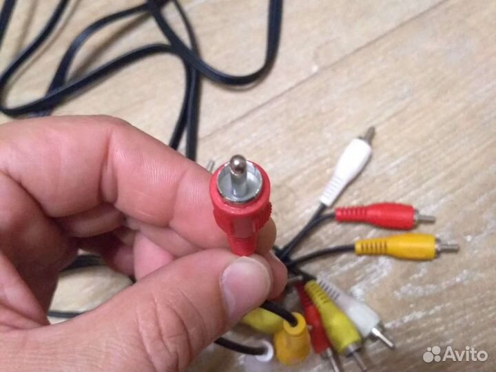 Тюльпаны провода