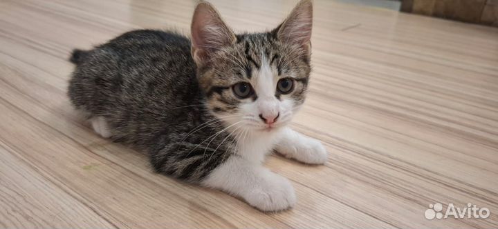 Заберите их пожалуйстааа