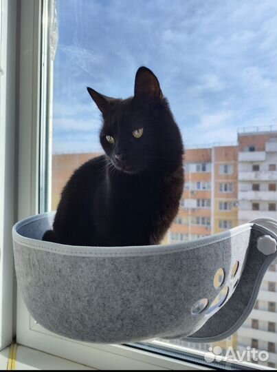Гамак лежанка для кота