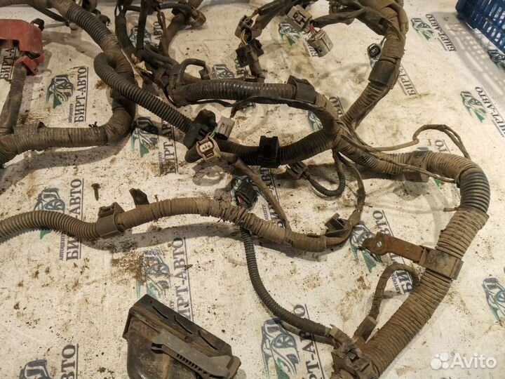 Проводка двигателя Toyota Corolla X (2006—2010)