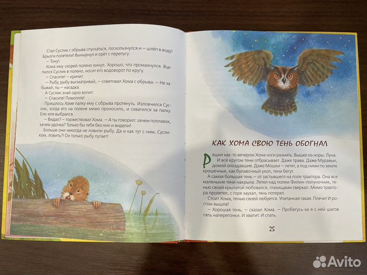 Сказки книга для детей