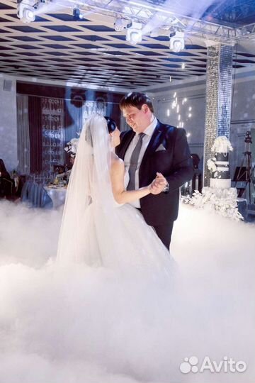 Ведущая на свадьбу. Тамада и диджей