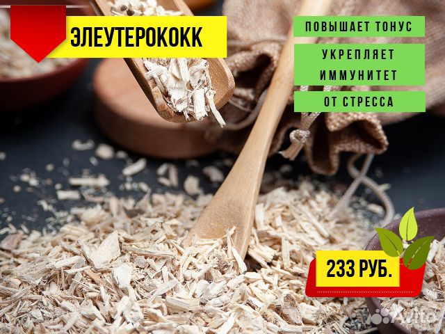 Элеутерококк