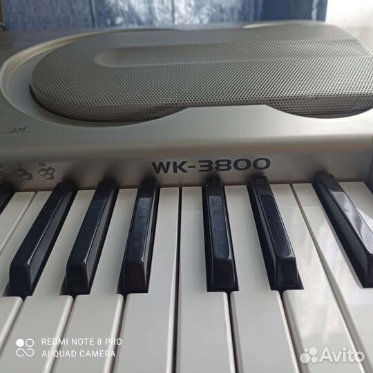 Синтезатор casio wk3800