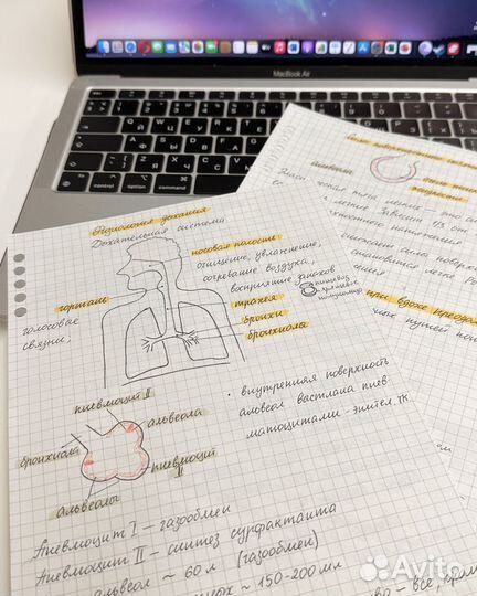 Репетитор биологии МГУ