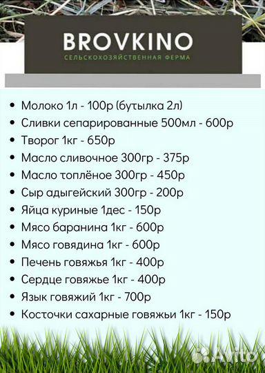 Домашние куриные яйца