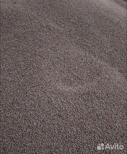 Ячмень яровой, Кормовая пшеница на корм/посев