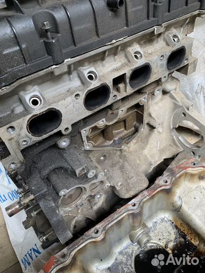 Двигатель Ford focus 2 1 6 115 л с