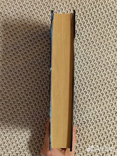 Кладбище домашних животных