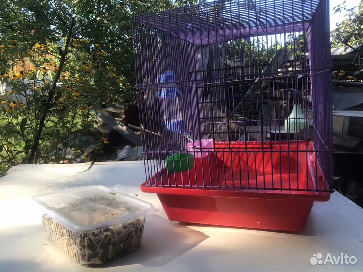 Клетка для грызунов с принадлежностями