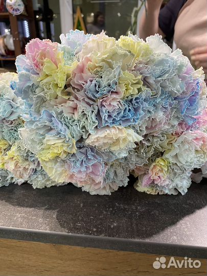 Акварельные диантусы