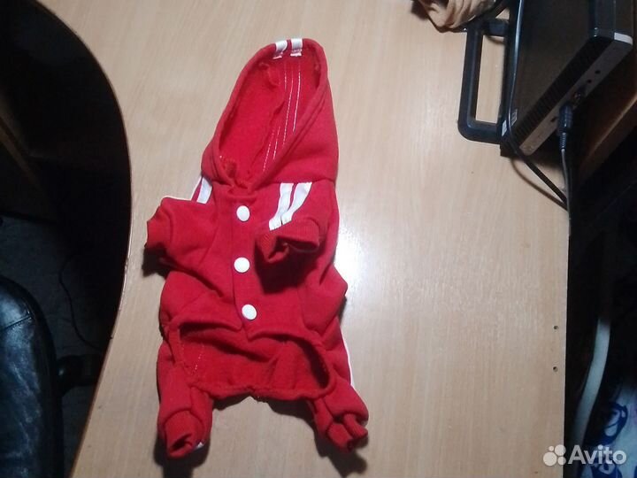 Костюм для маленькой собаки