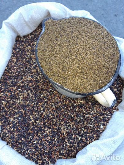 Семена суданка люцерна эспарцет