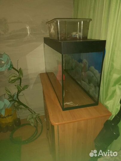 Аквариум