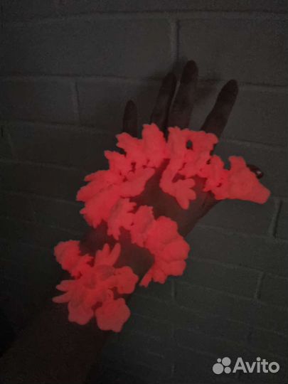 Дракон орхидея светящийся