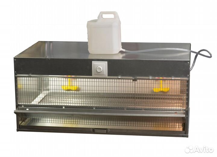 Брудеры на 200 цыплят