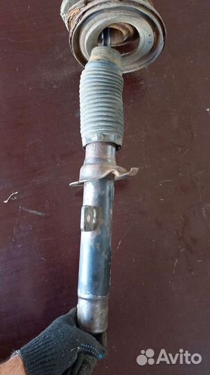 Амортизатор передний правый. Пежо 406