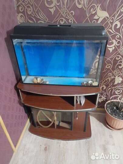 Аквариум