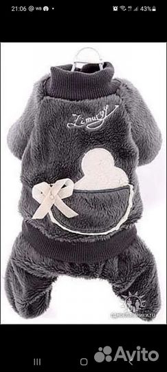 Одежда для маленьких собак