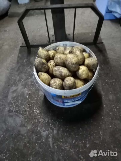 Продукты питания