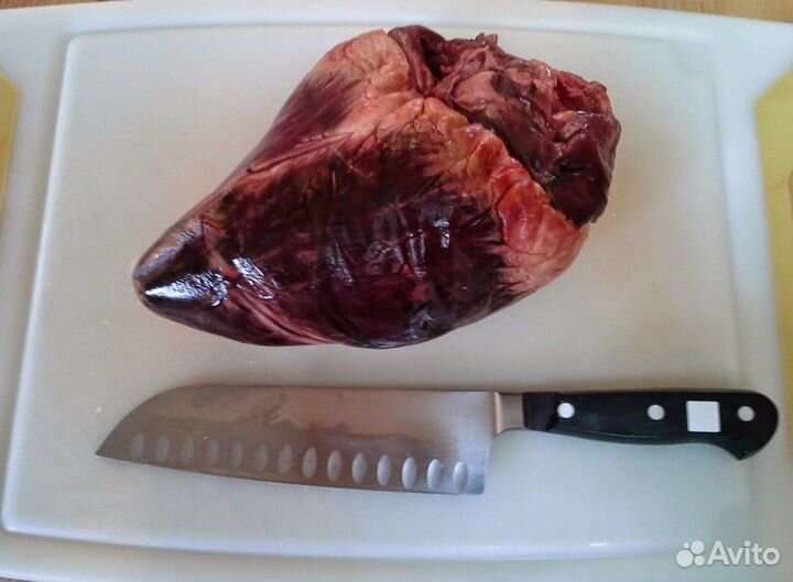 Сердце лося