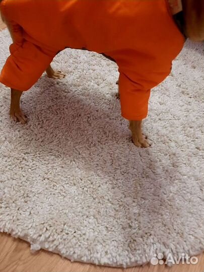 Комбинезон для маленькой собаки