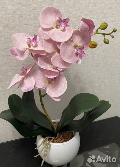 Орхидея фаленопсис из латекса