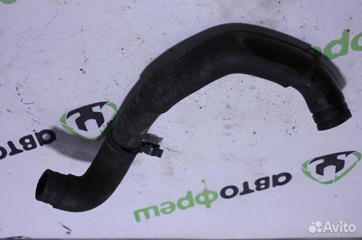 Патрубок радиатора Nissan Maxima a32