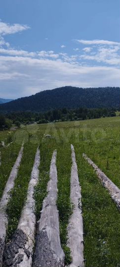 Участок 12 сот. (СНТ, ДНП)