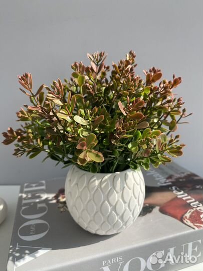 Искусственные растения в горшках