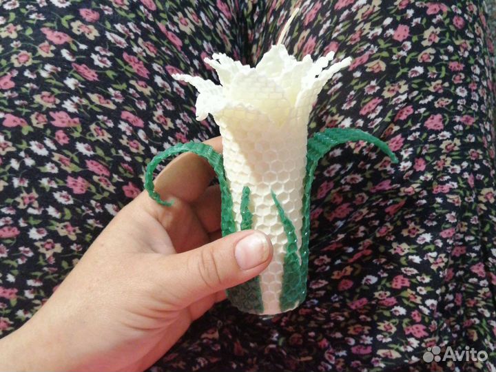 Выездной мастер-класс 