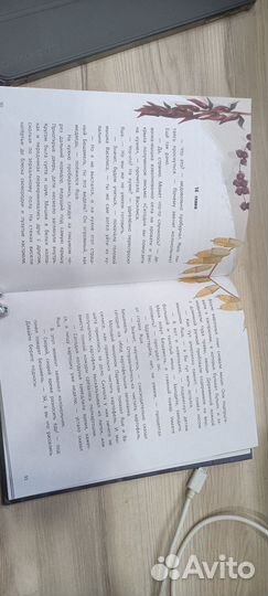 Тайна сырной улицы