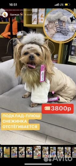 Зимний пуховик для собак мелких пород