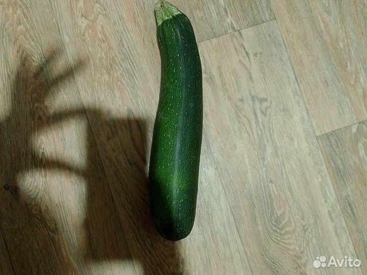 Кабачки на икру