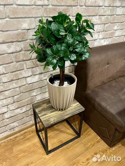 Фикус Лирата, пальма, искусственное дерево