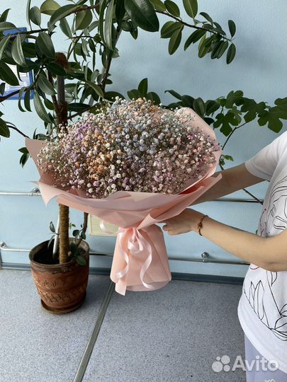 Живые цветы букеты из гипсофилы