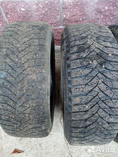 Triangle IcelynX TI501 215/55 R17