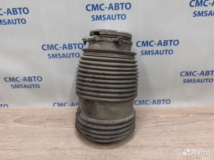 Пневмобаллон задний правый Mercedes-Benz C-Class