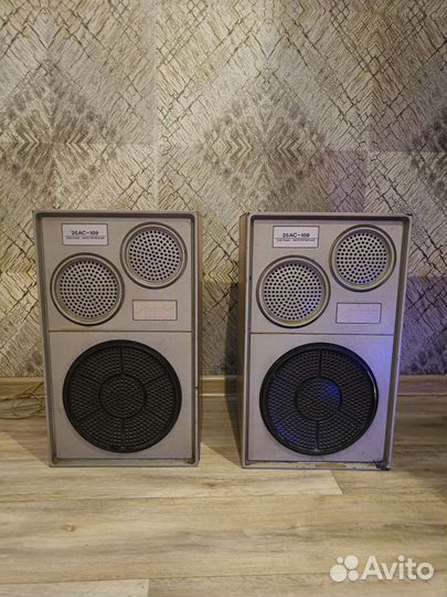 Колонки Вега 25 ас-109